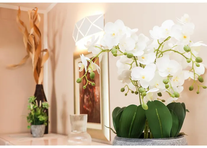 Luxury Penthouse Roberta Appartement